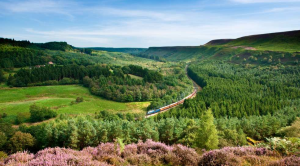 steam locomotive in north yorkshire